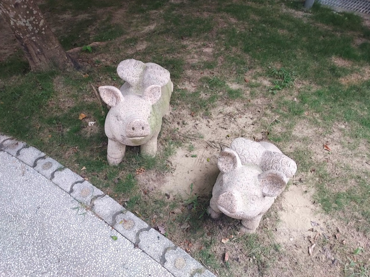 小豬雕塑1