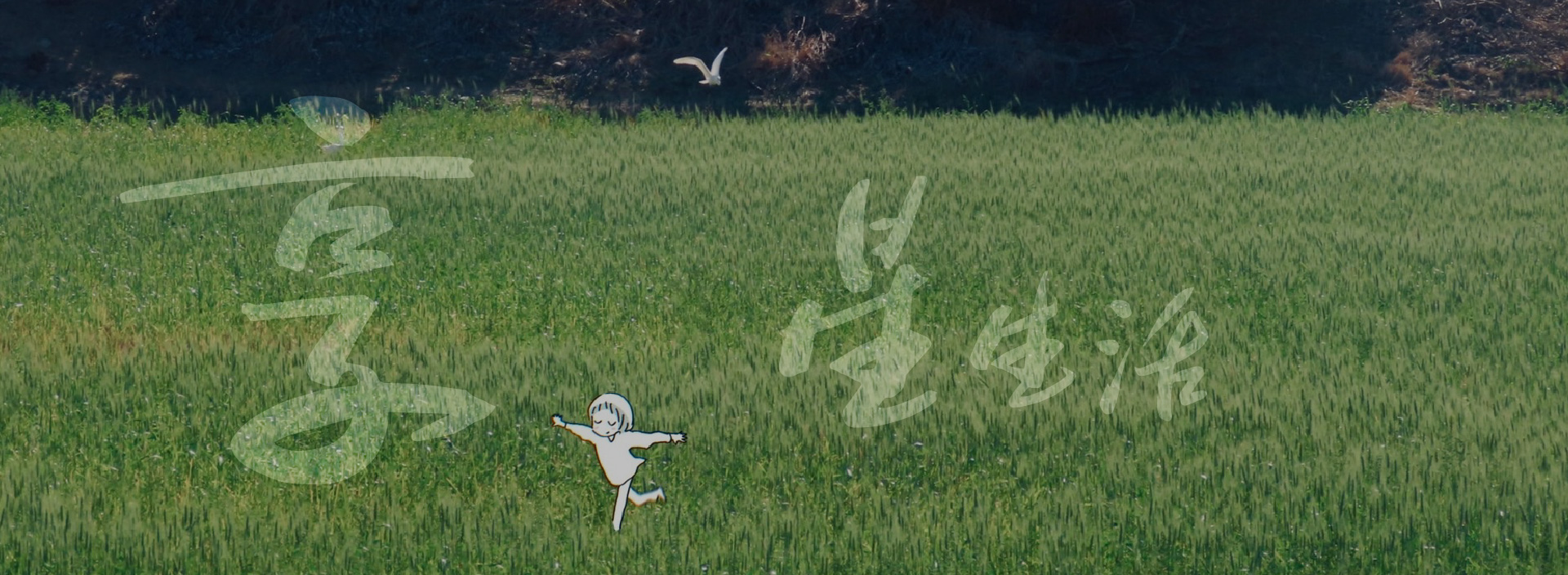 Banner image